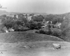 Cows in Front of Norwich University