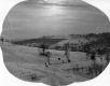 Snowy Field