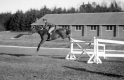 Horse Jumping