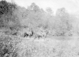 Two Men Riding Horses