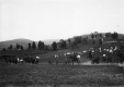 Horse Show