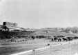 Cavalry Horse Pasture