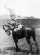 Handstand on a Horse