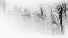 Winter Scene