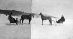 Horses with Sleighs