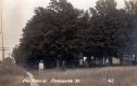 The Park