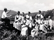 Von Trapp Family Singers