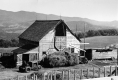 Trapp Farm