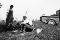 Tree Planting