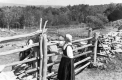 Woman and Horse