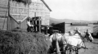 Boy With a Wagon of Hay