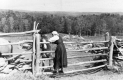 Woman Petting a Horse