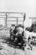 Construction of a Farm Building at Trapp Family Lodge