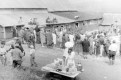 Trapp Farm Auction