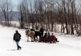 Horse Drawn Sleigh
