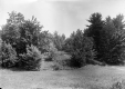 Green Mountain Camp