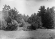 Green Mountain Camp