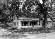 Great Elms Cottage
