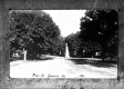 View Down Park Street