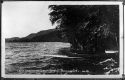 Canoes along Lake Dunmore
