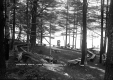 Woodcraft Circle at Camp Awanee