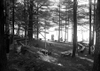 Woodcraft Circle at Camp Awanee