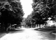 Street Scene