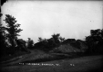 The Horseback