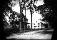 Stately Dwellings on Maple Street