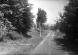 View Down a Dirt Road