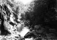 Gorge