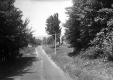 View Down a Dirt Road