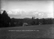 Summer Cottages