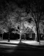 Village Park