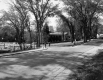 Triangle by Library