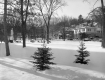 Village Square in Proctor