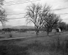 Elm Street and Ball Diamond