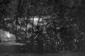 Woman Standing by a Lake