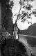 Woman by Lake Willoughby