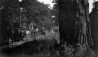 Funeral Procession in Barnet
