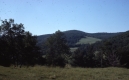 Fields from Barnet Center