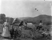 Haying in a Field