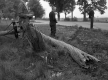 Guilmain Accident in Salisbury #3