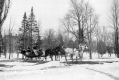Sleigh in Park