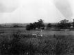 Site of Ann Story's First House
