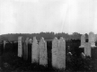 Grave of Ann Story