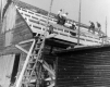 Shingling a Horse Barn