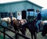 Anderson Kids at Horse Stable