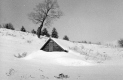 House Under Snow