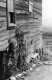 Side of Wooden Structure